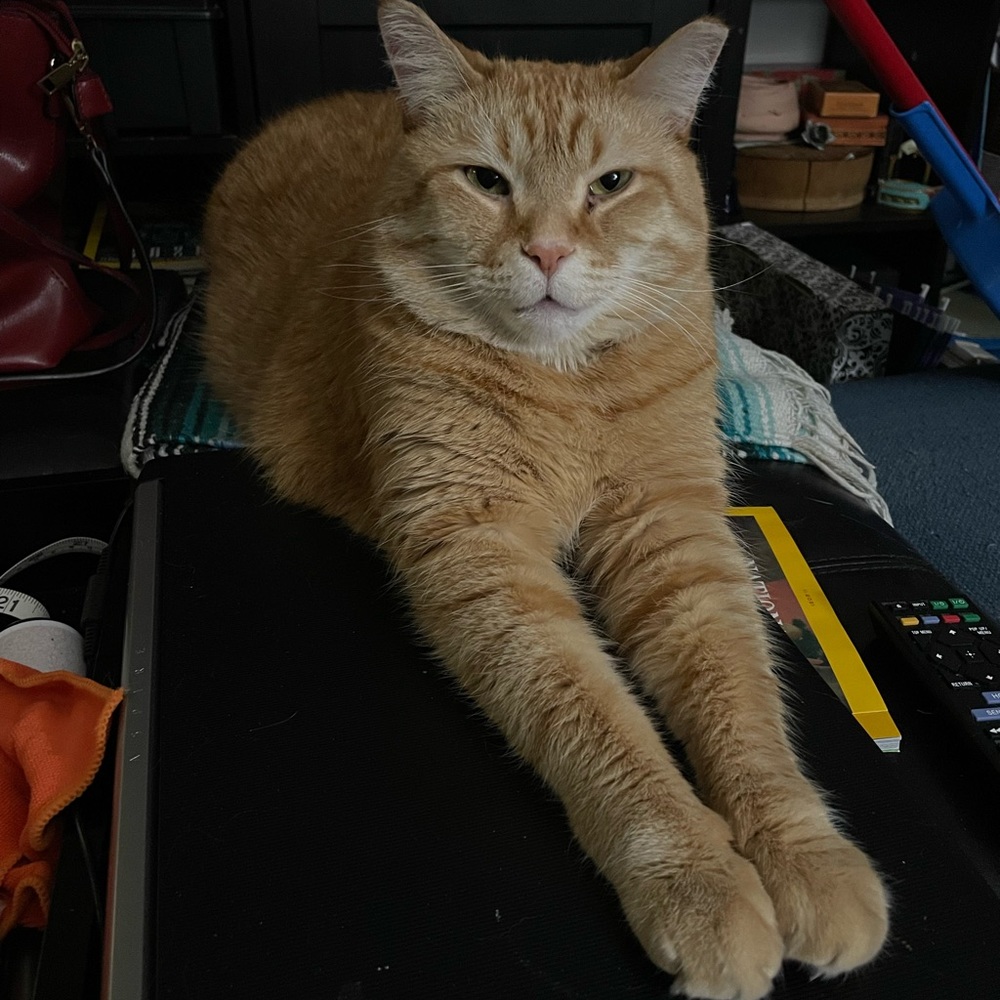 Meet your Posher, Robert